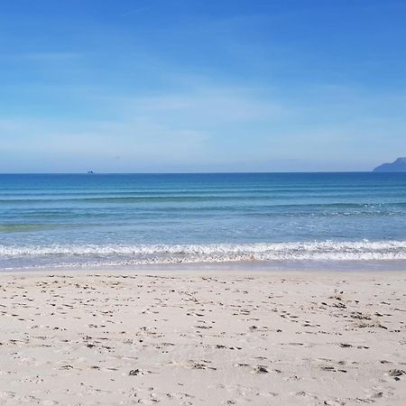 Ideal Property Mallorca - Cittadini 37 Alcúdia Kültér fotó